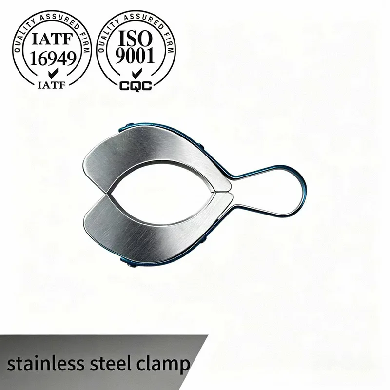 Stainless Steel Car Clamp