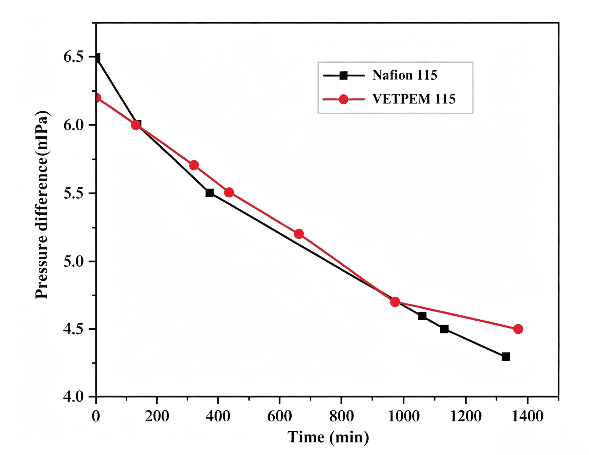 Proton Exchange Membrane